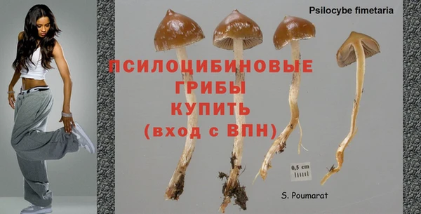 ешки Алексин