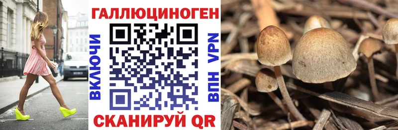 где купить наркоту Нея Галлюциногенные грибы Magic Shrooms